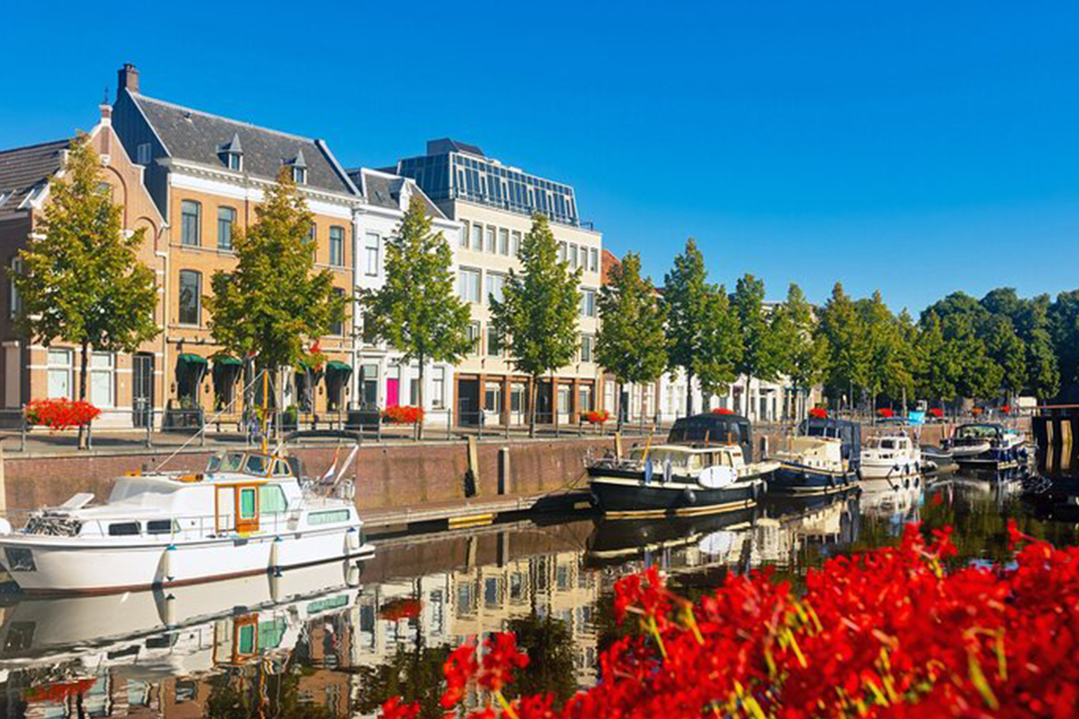 Woningontruiming Breda