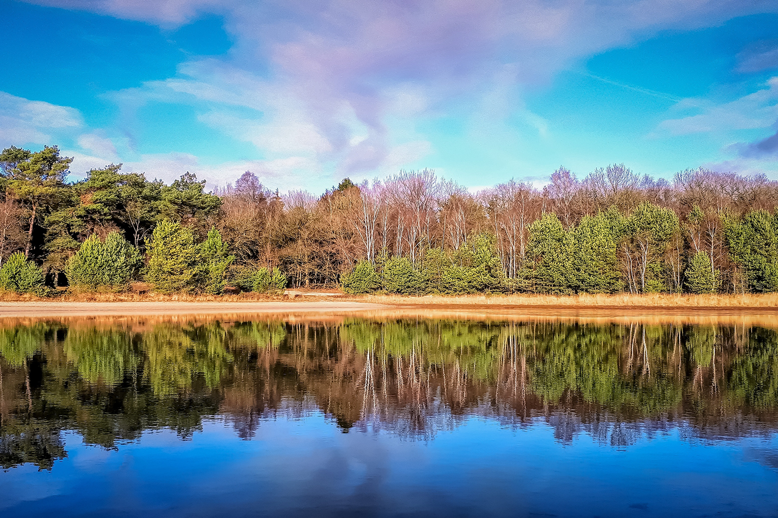 Woningontruiming Drenthe