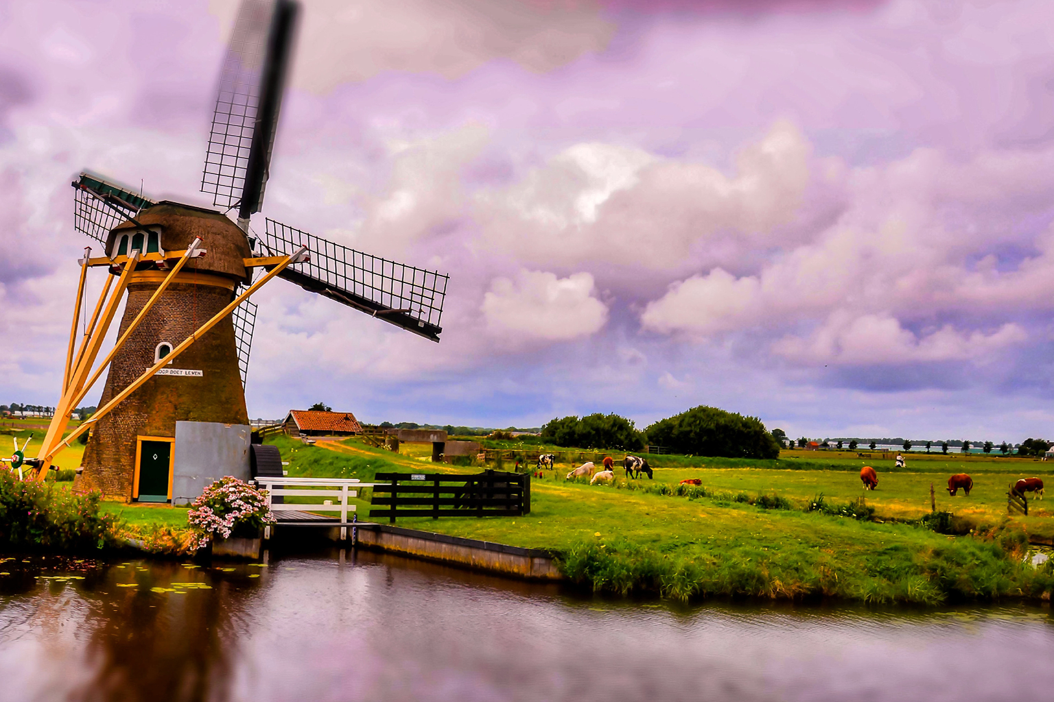 Woningontruiming Friesland